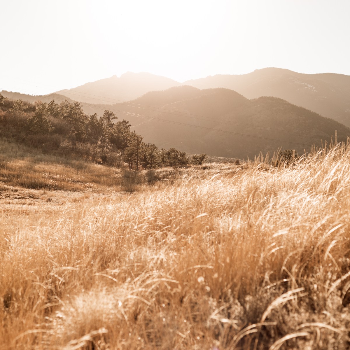 How to Choose an Engagement Photo Location in Colorado&nbsp;Springs